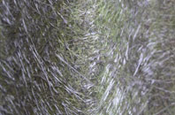 Woodgate Hill fibreglass roof work